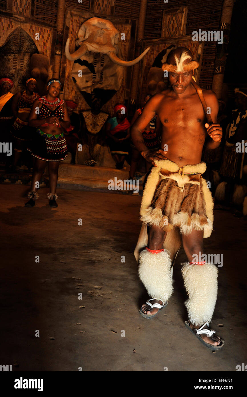 Menschen, junge Erwachsene männliche Tänzerin, Kultur, traditionelle Zulu-Kleid, Solo-Liebestanz, Shakaland Themendorf, KwaZulu-Natal, Südafrika Stockfoto