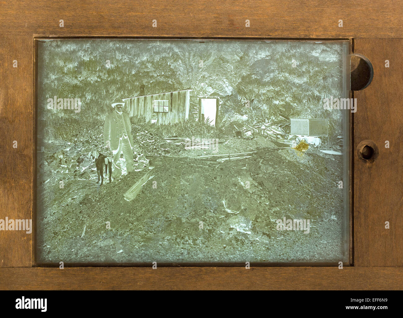 Ende des 19. Jahrhunderts und Anfang des 20. Jahrhunderts Glas Platte negative Hintergrundbeleuchtung in einem Kontakt Drucker verwendet in einem Fotografen Dunkelkammer Stockfoto