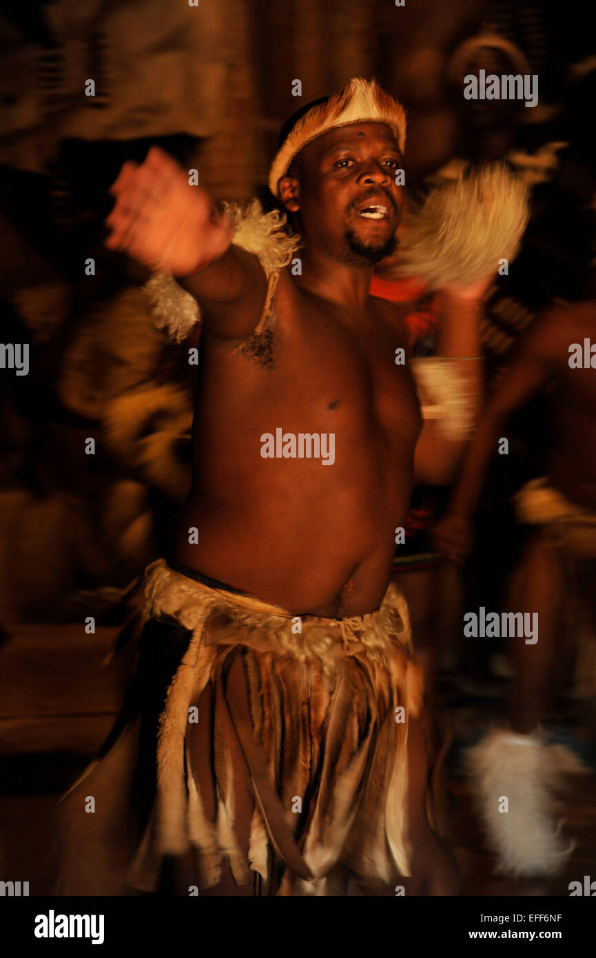 Menschen, Erwachsene männliche Tänzerin, Zulu kulturelle Kleidung Tanz traditionelle Krieger Tanz, Kulturshow, Shakaland Thema Dorf, Südafrika, Bewegung, Weichzeichnen Stockfoto