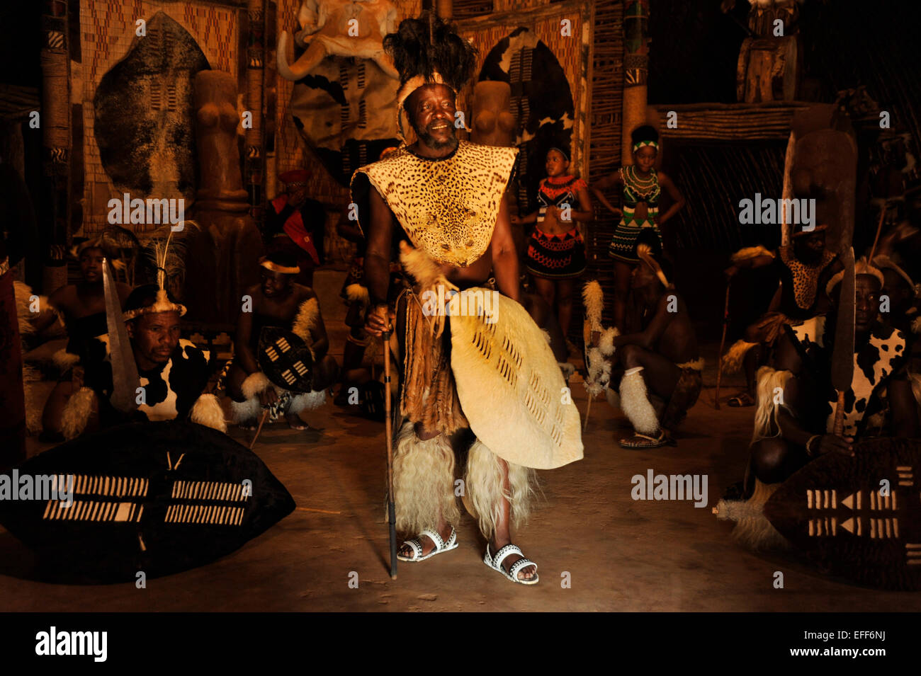 Erwachsener Mann in traditioneller Kleidung, Zulu-Chef mit Schild, Tänzer in Kriegerkleid, traditionelle Tanzshow, Shakaland, KwaZulu-Natal, Südafrika Stockfoto