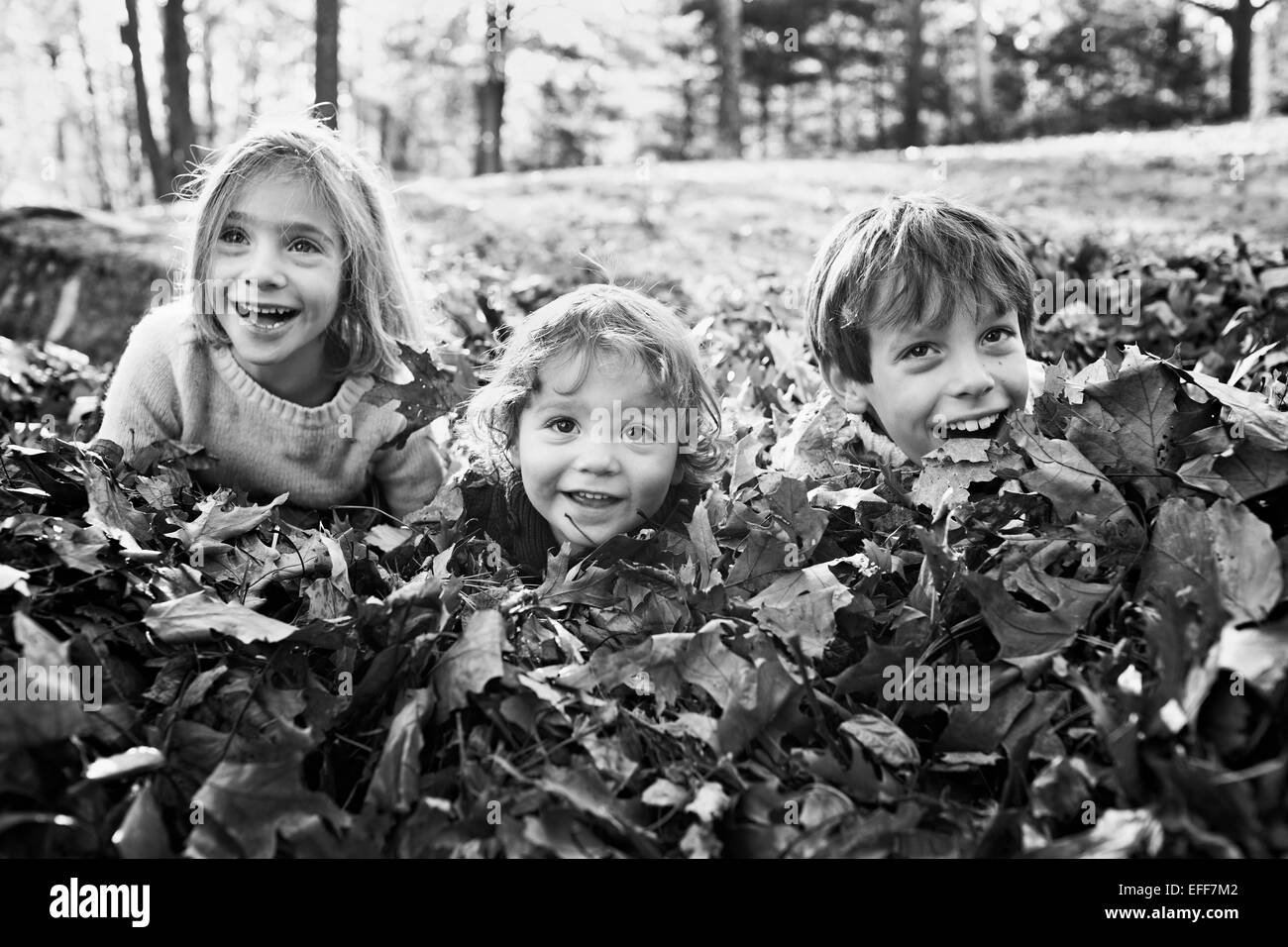 Kinder Spaß in Blättern Stockfoto