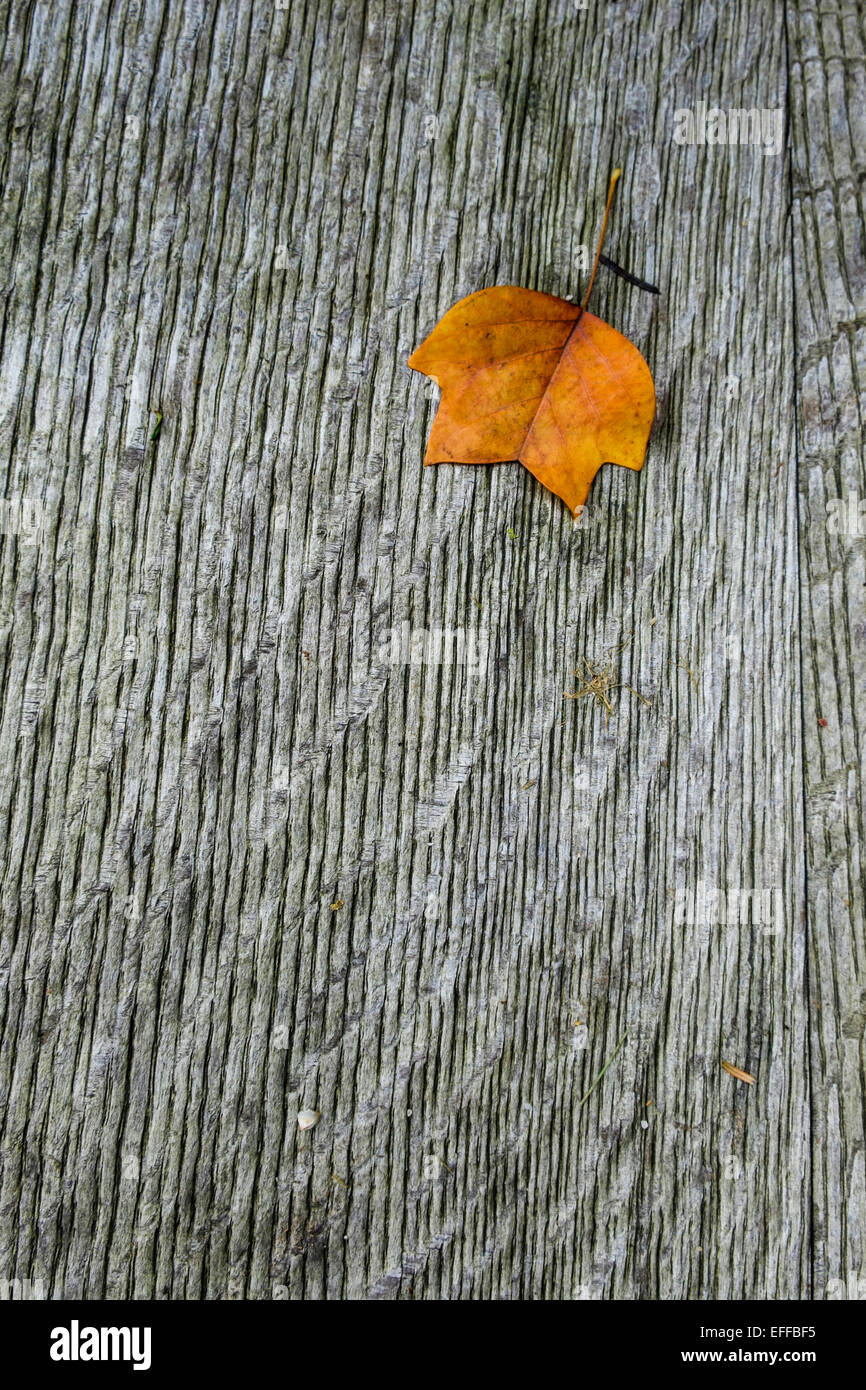 Herbstlaub auf Gartenbank Stockfoto