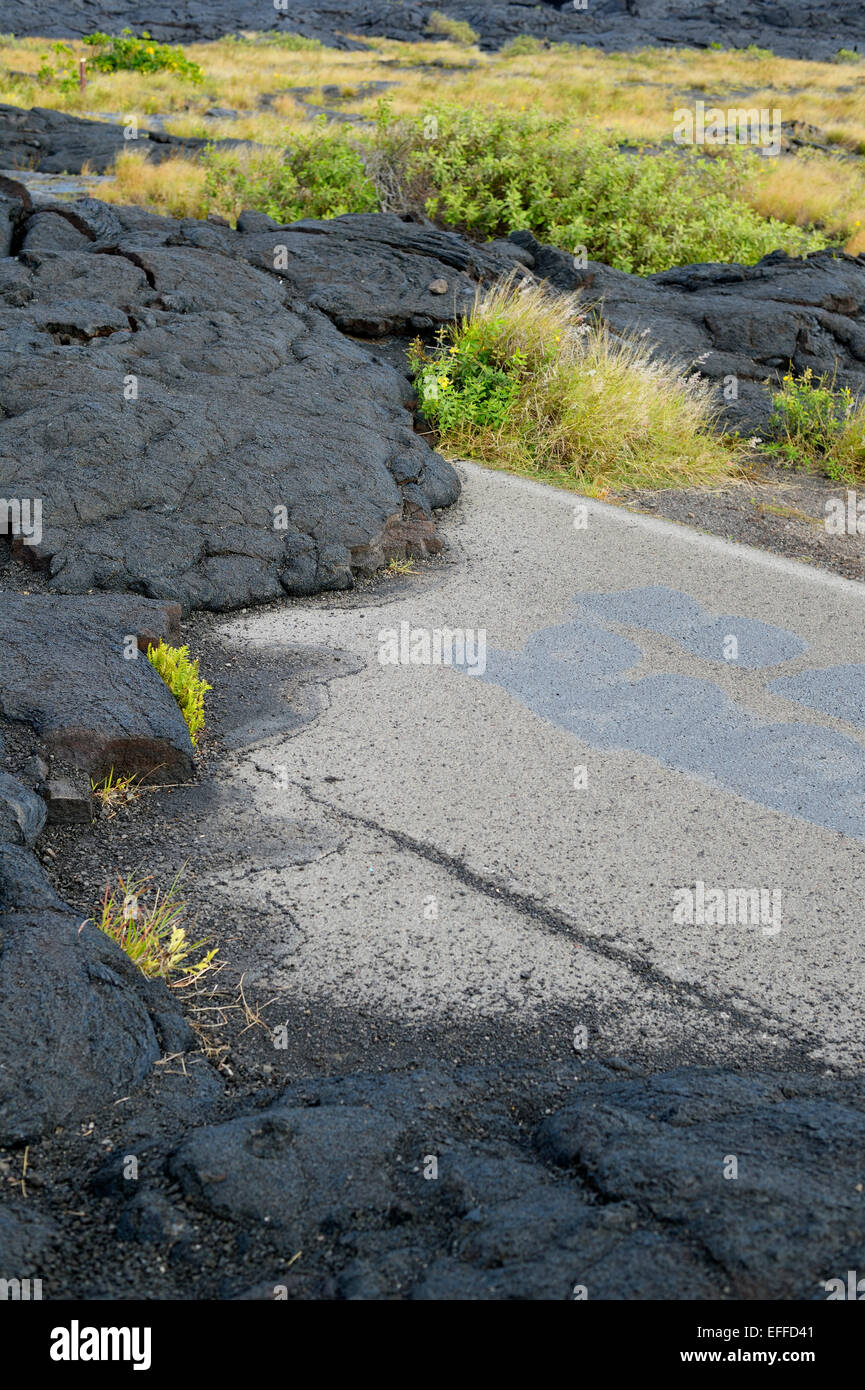 USA, Hawaii, Big Island, Volcanoes National Park, erstarrte Lava auf der Spur der alten Chain of Craters Road Stockfoto