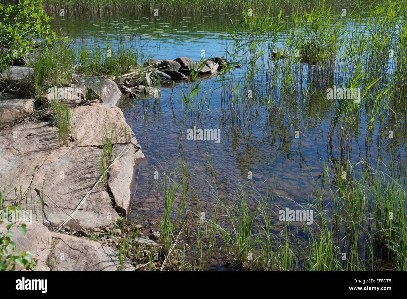 Seenlandschaft von Vanern, Värmland, Schweden im Juni. Stockfoto