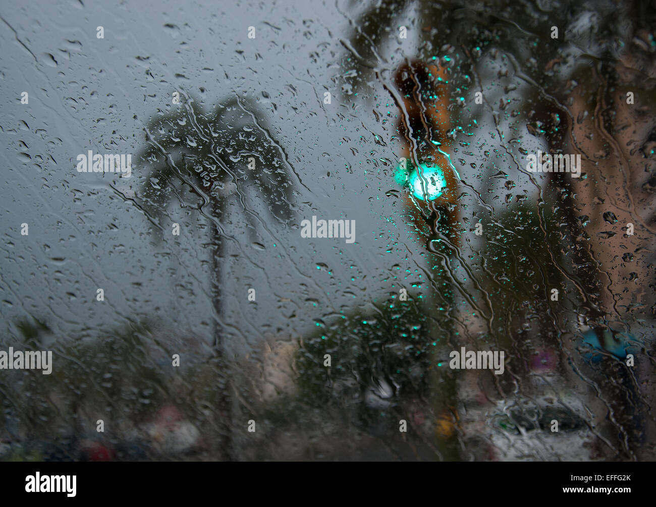 Grünes Licht durchscheinen regnerischen Autofenster im Verkehr, Palma De Mallorca, Balearen, Spanien. Stockfoto