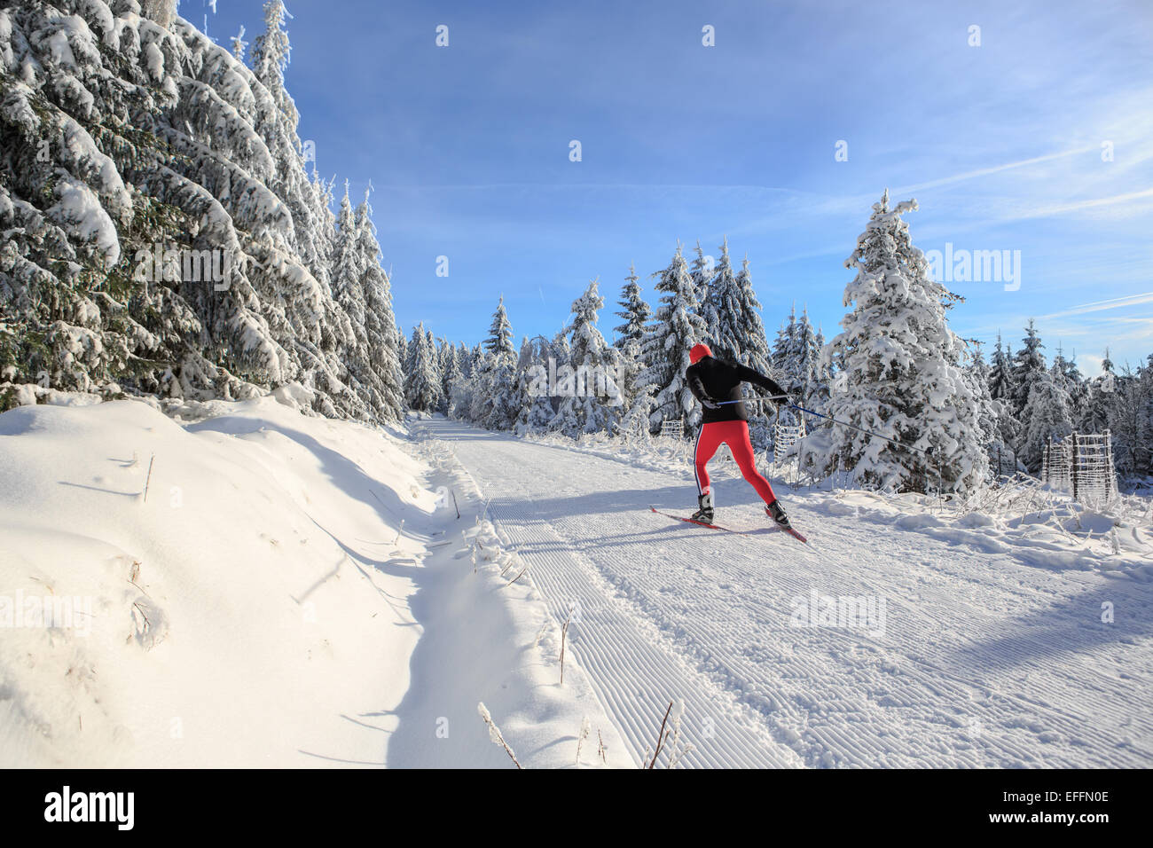 Ein Mann-Langlaufen auf den Waldweg Stockfoto