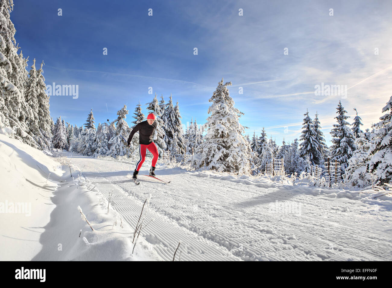 Ein Mann-Langlaufen auf den Waldweg Stockfoto