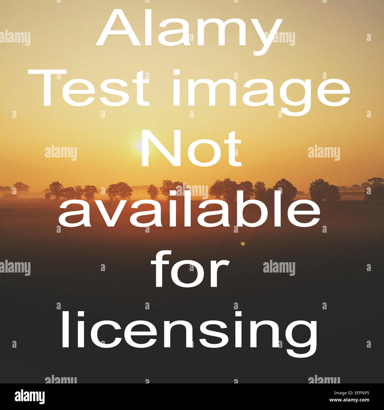 ALAMYTTESTIMAGENOTFORSALE Stockfoto