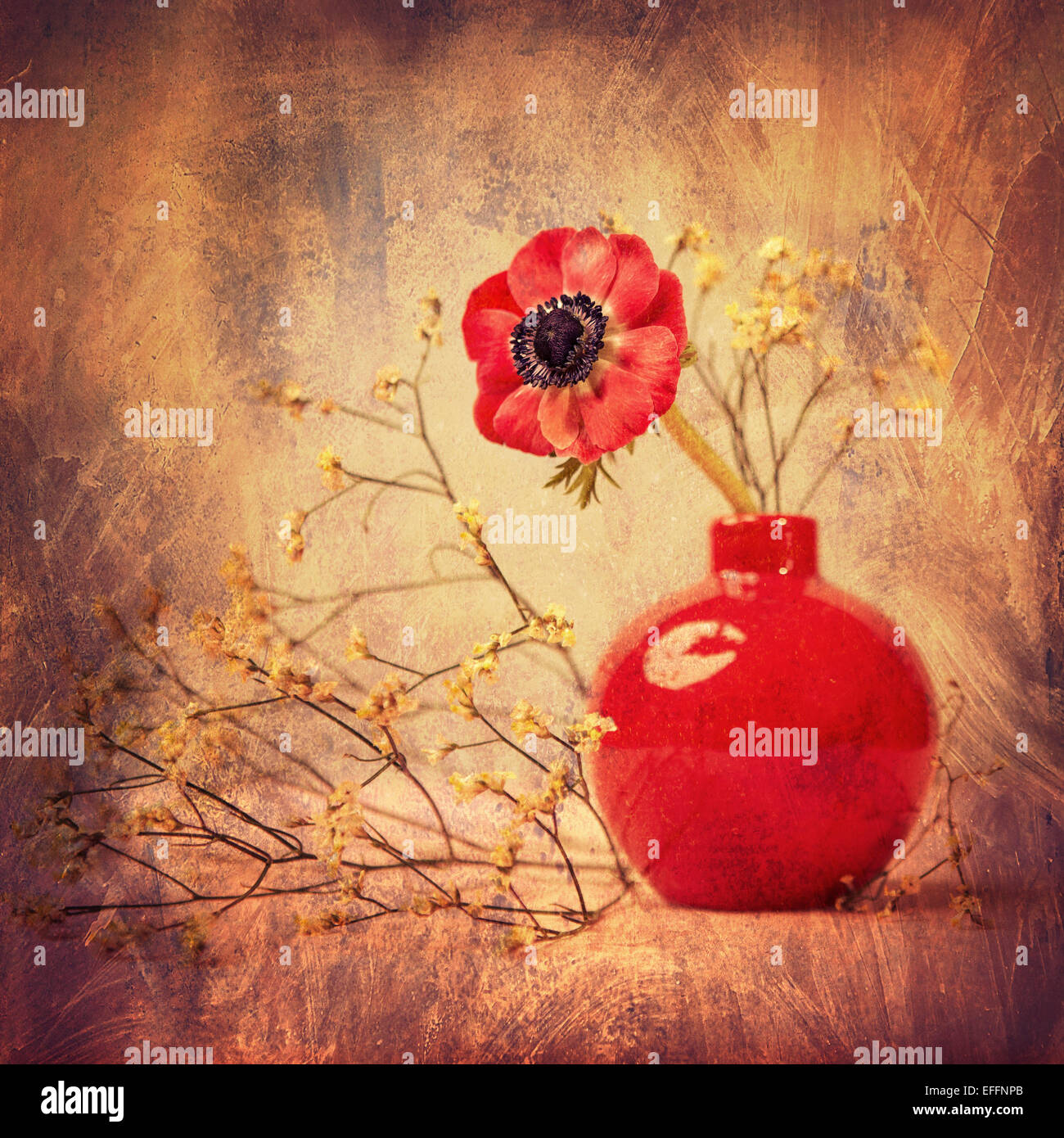 Nahaufnahme Bild von einer Anemone in die vase Stockfoto