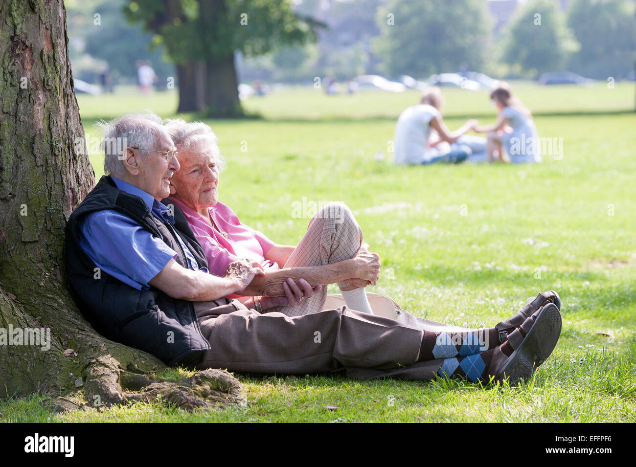 Ein älteres Ehepaar sitzen zusammen in einem UK-Park unter einem Baum. Der Mann hält zärtlich die Arme Womans. Stockfoto