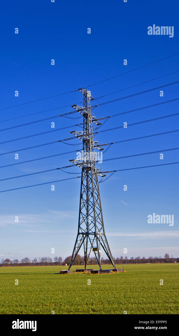 Pylon in Wiese Stockfoto