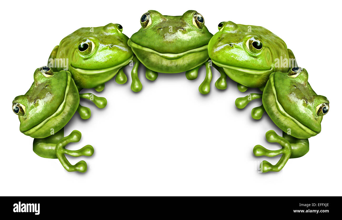 Frosch-Gruppe Zeichen als ein Team von glücklich Spaß grüne Amphibien sitzt auf der Oberseite eine weiße leere Karte Hintergrund stellvertretend für eine Werbung-Konzept von Wildtieren gefördert. Stockfoto