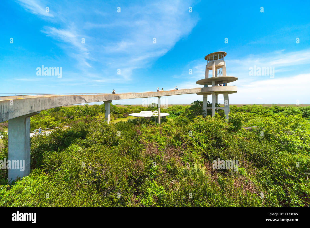 Shark Valley Besucher Beobachtung Turm Everglades Nationalpark Everglades Florida USA Stockfoto