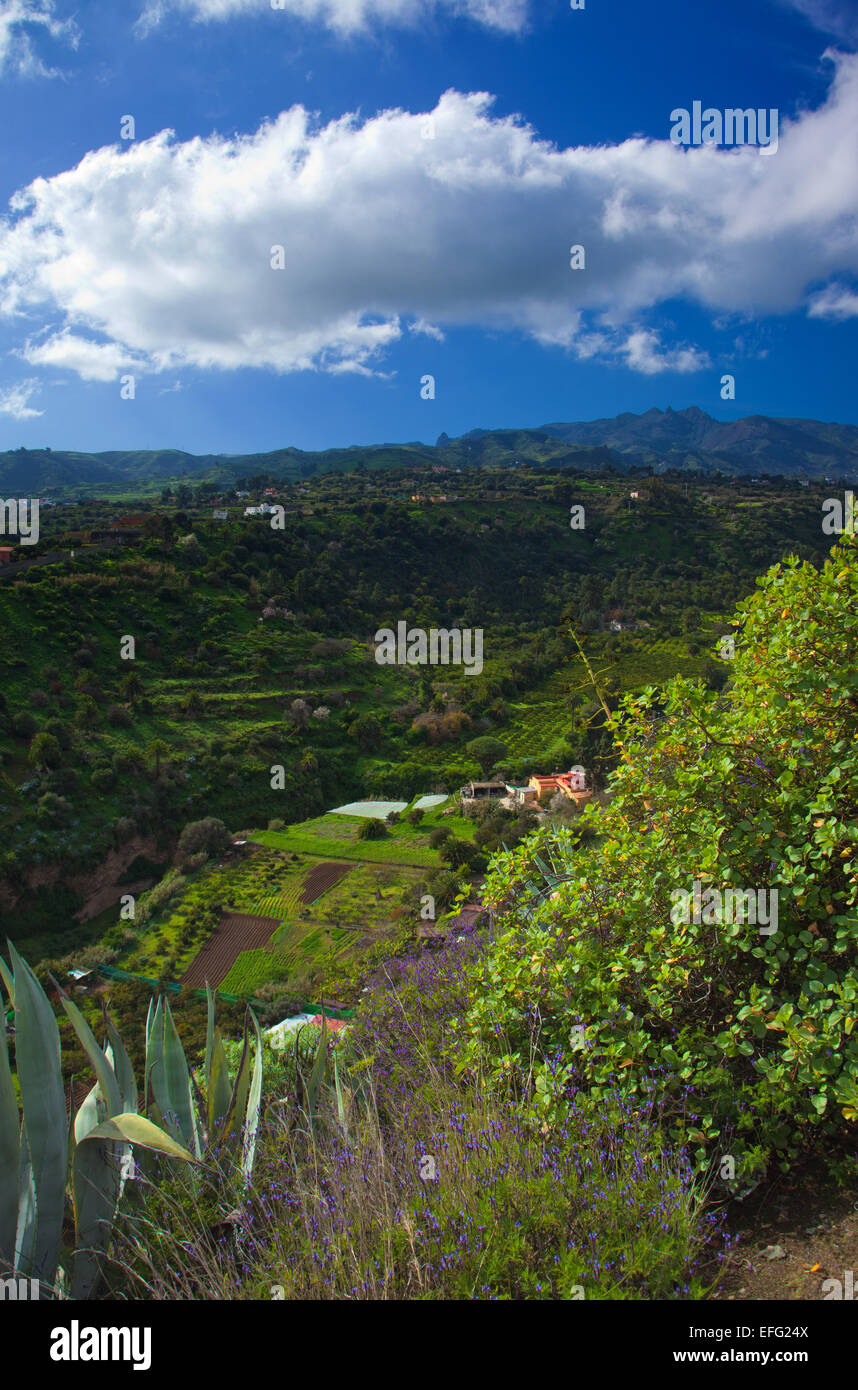 Im Landesinneren Gran Canaria, Blick Richtung Zentralgebirge von Barranco de Santa Brigida, Santa Bridige - Teror Wanderroute Stockfoto