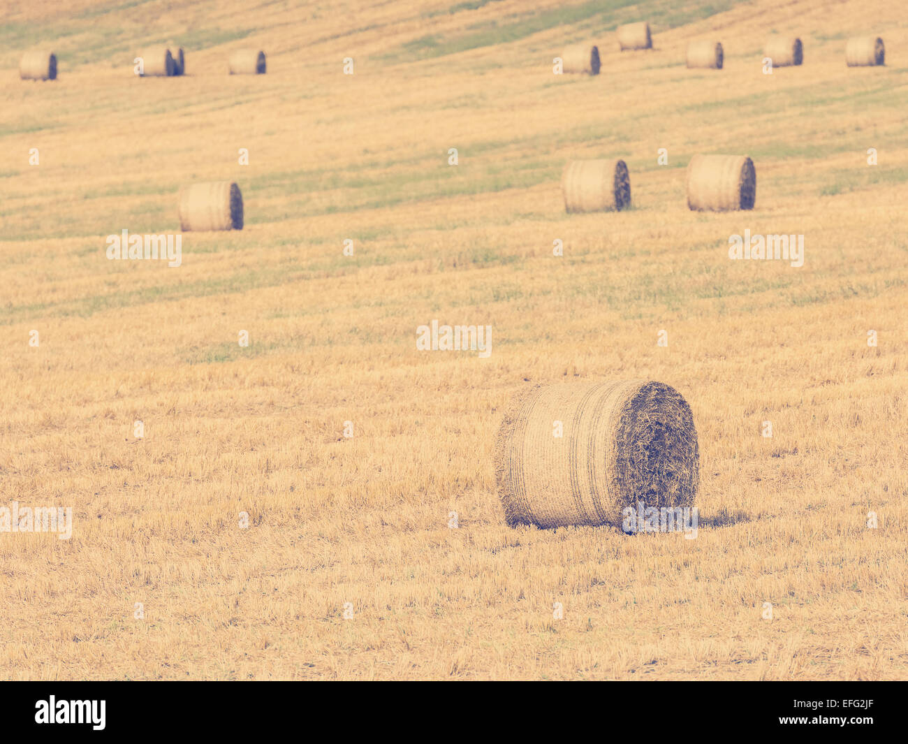 Vintage-Effekt von Heu-Roll auf Auenlandschaft nach der Ernte Stockfoto