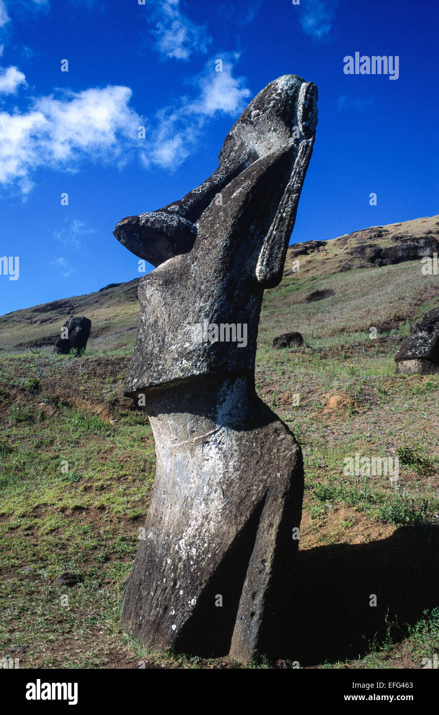 Moais am Rano Raraku. Eastern Island, Chile Stockfoto