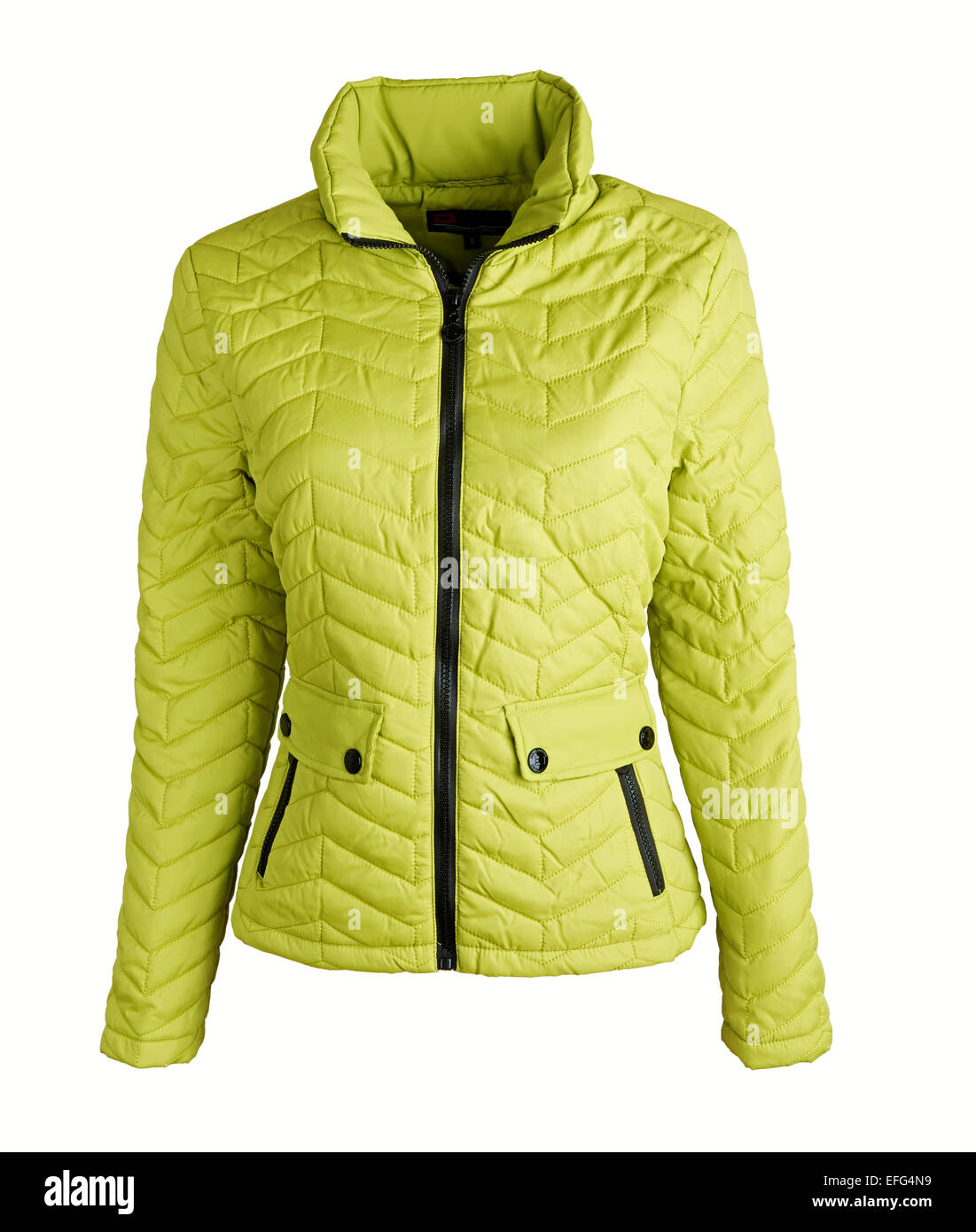 grüne Winterjacke Stockfoto