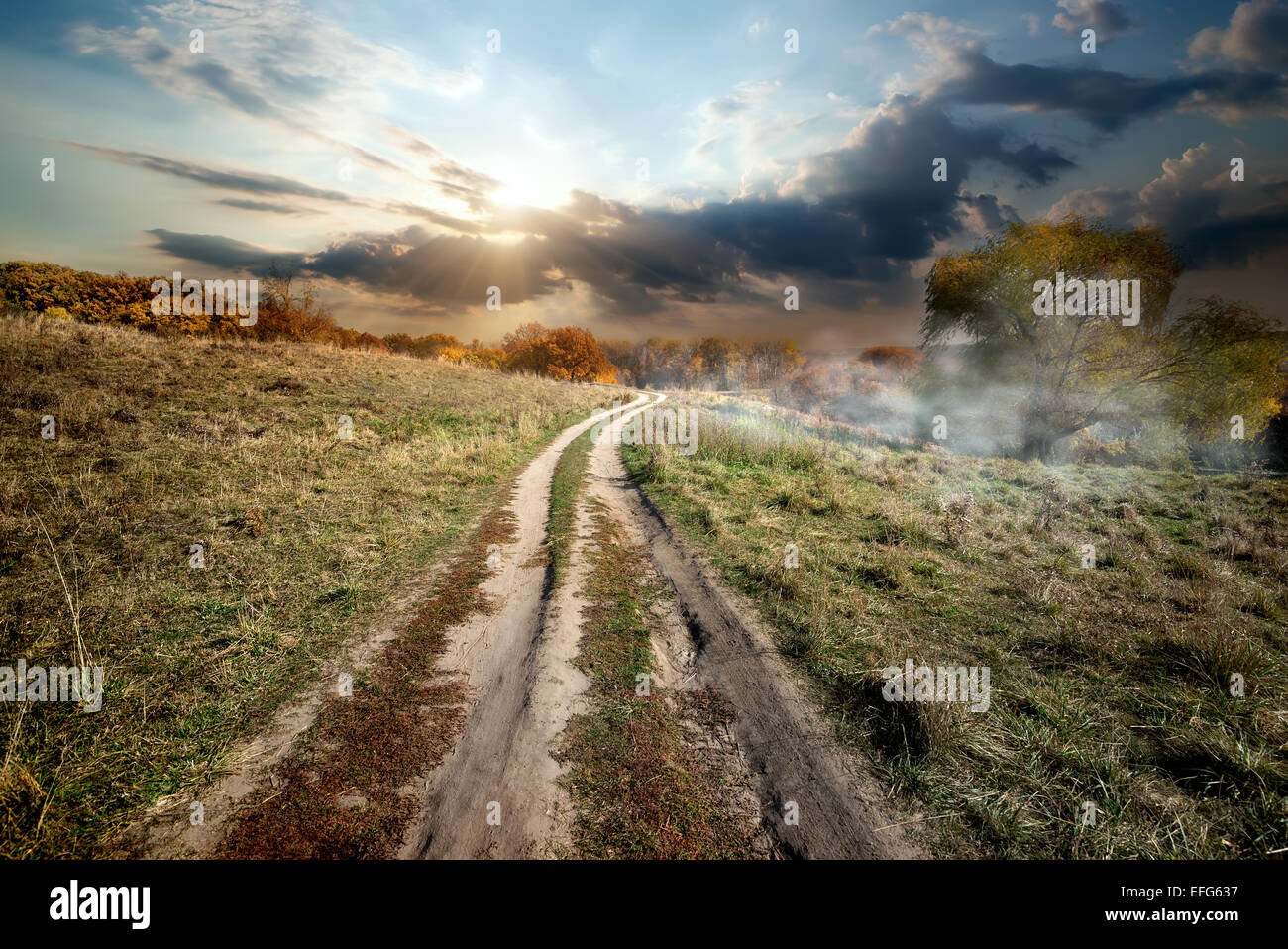 Nebel über Landstraße in einer Landschaft Stockfoto