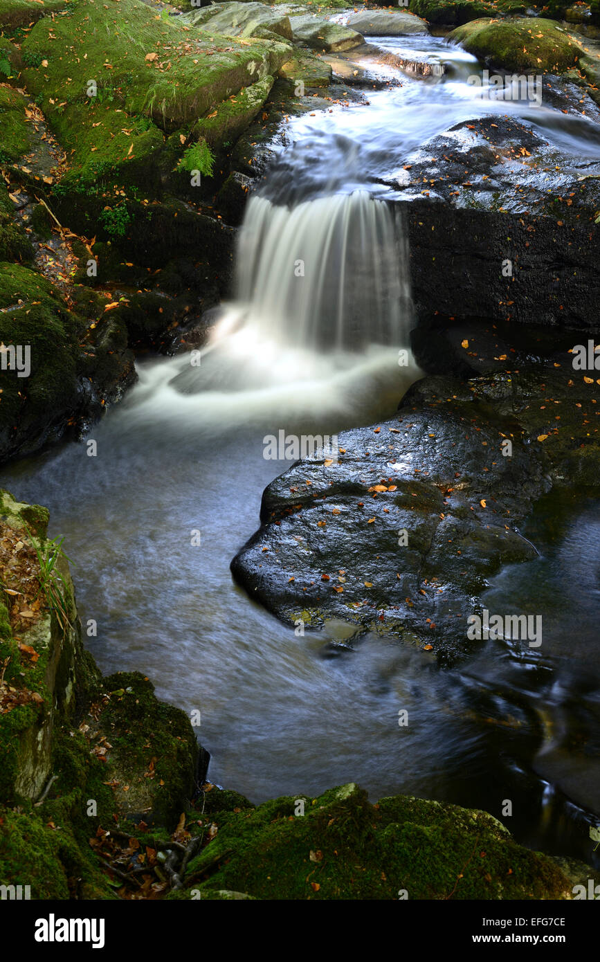 Cloghleagh River Wasserfall Sommer Ländliches Motiv malerische irischen Sidelit Seitenlicht County Wicklow RM Irland Stockfoto