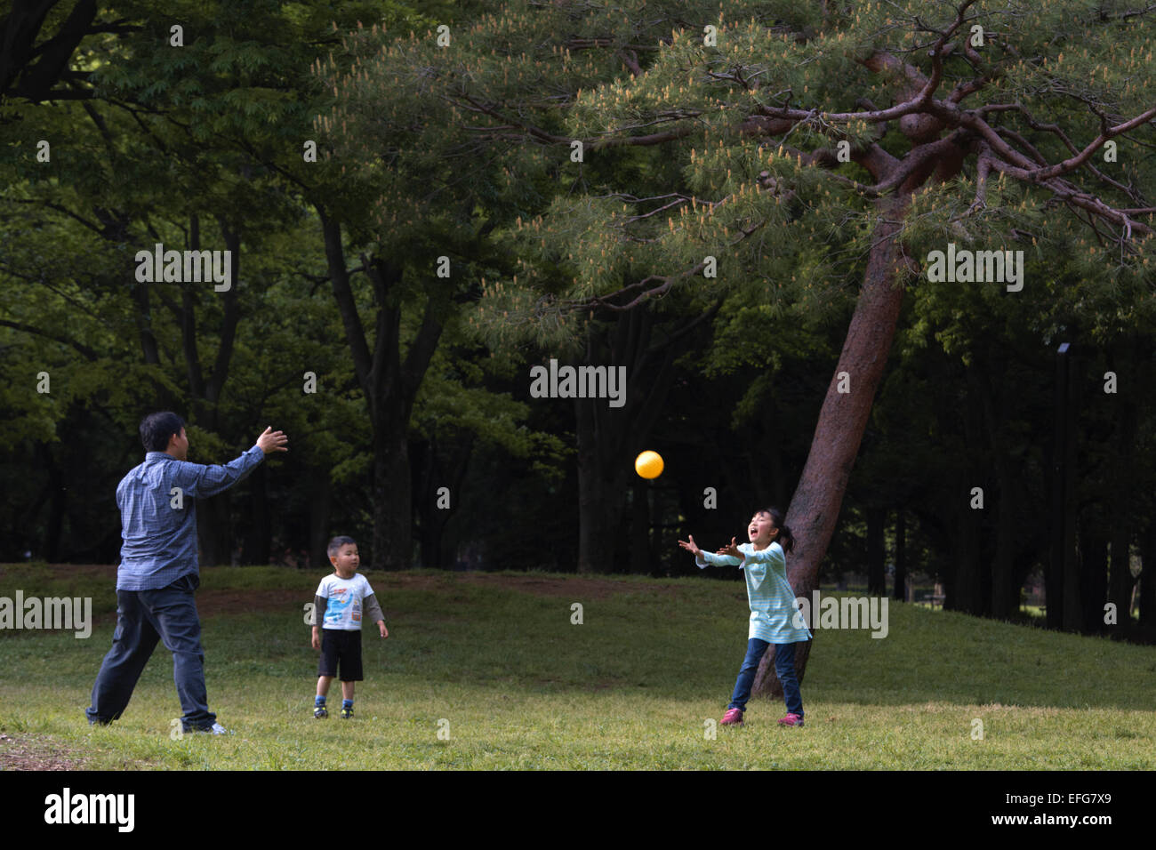 Mann und die Kinder spielen fangen in Yoyogi Park, Harajuku, Tokio, Japan Stockfoto