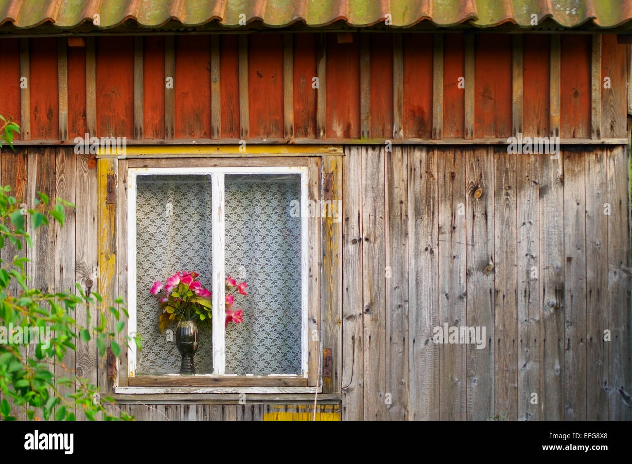 Fenster einer alten hölzernen Häuschen mit roten Rosen in einer Vase. Pommern, Polen. Stockfoto
