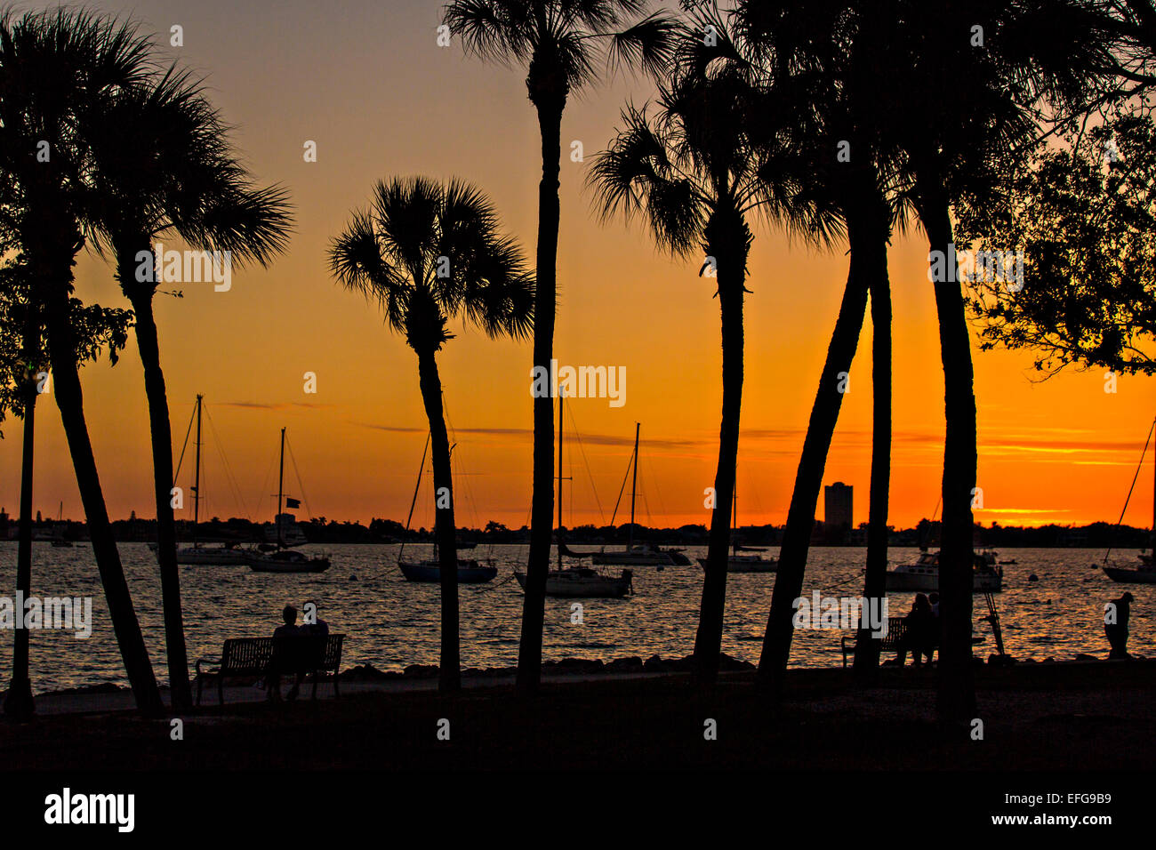 Sonnenuntergang vom Bayfront Park Sarasota, Florida Stockfoto