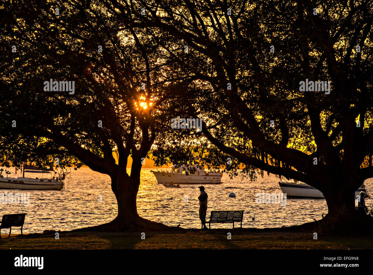 Sonnenuntergang vom Bayfront Park Sarasota, Florida Stockfoto