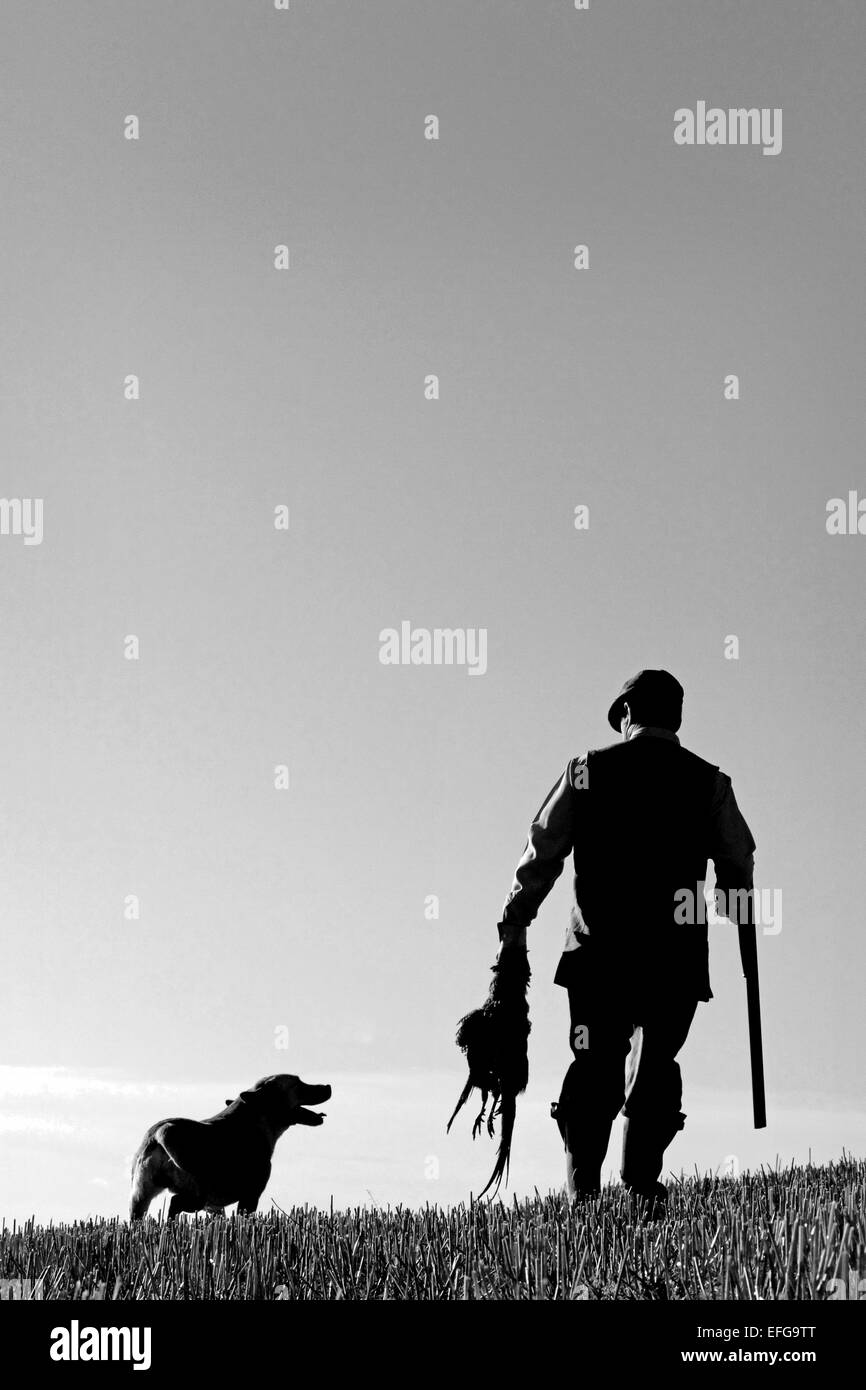 Wildhüter mit Gun Dog, Fasane und Schrotflinte, Schwarze & Weiße Silhouette Stockfoto