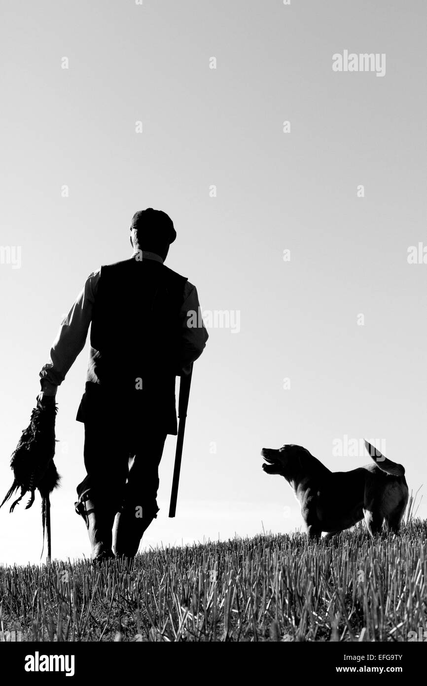 Wildhüter mit Gun Dog, Fasane und Schrotflinte, Schwarze & Weiße Silhouette Stockfoto