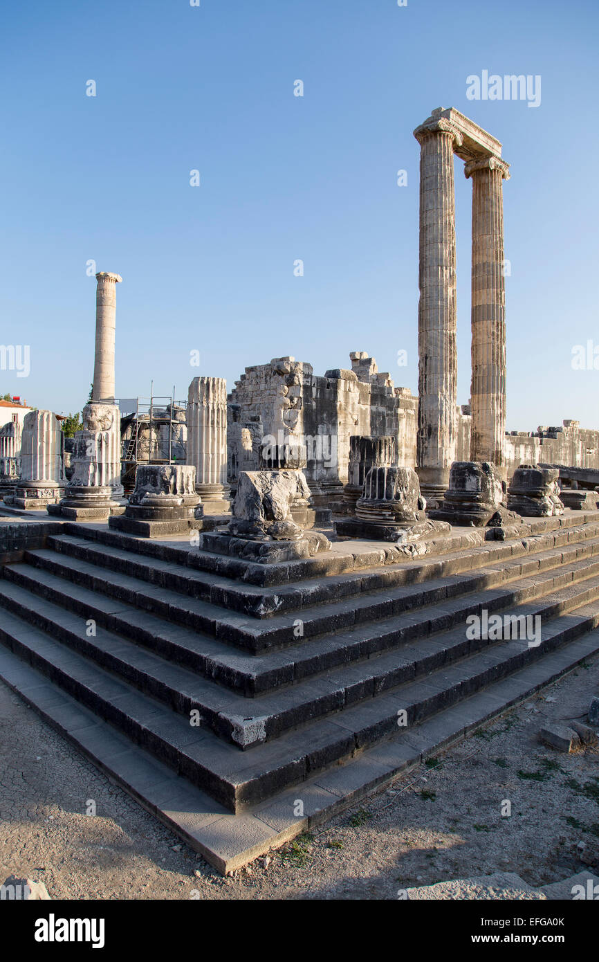 Spalten der Apollo-Tempel in Didyma antiken Stadt Didim Türkei Stockfoto