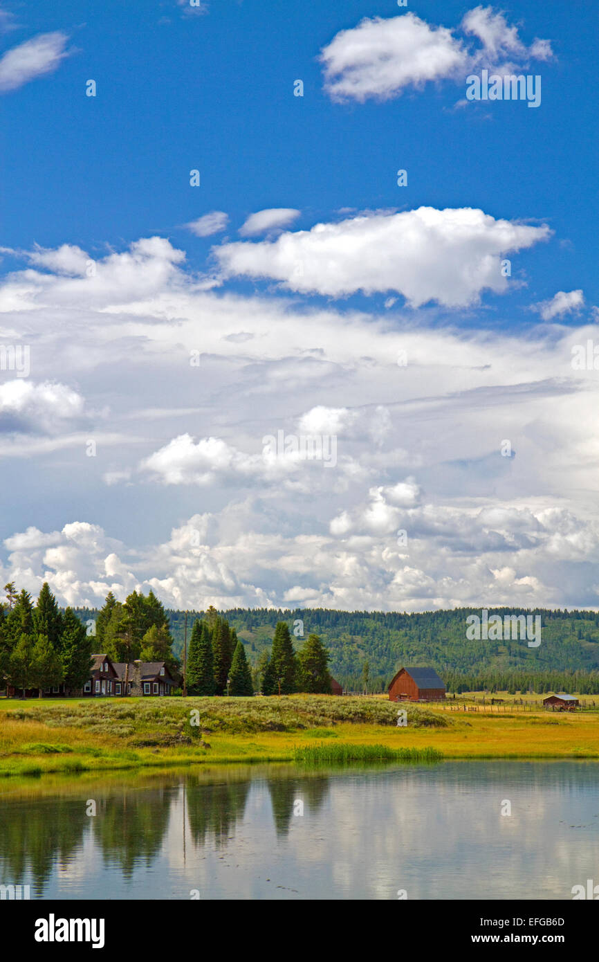 Harriman State Park befindet sich im größeren Yellowstone-Ökosystems im östlichen Idaho, USA. Stockfoto