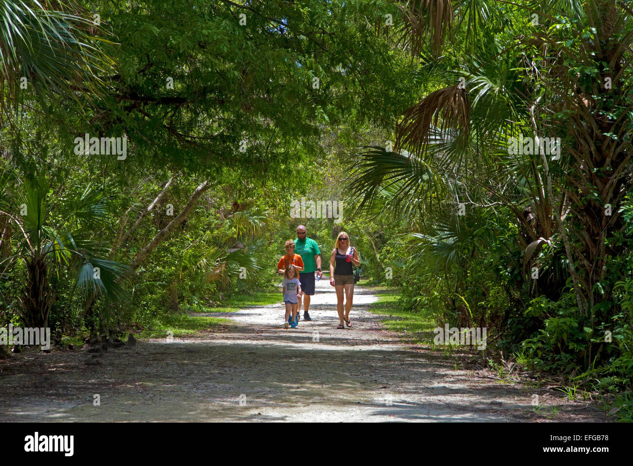 Familie zu Fuß einen Weg in die Everglades, USA. Stockfoto