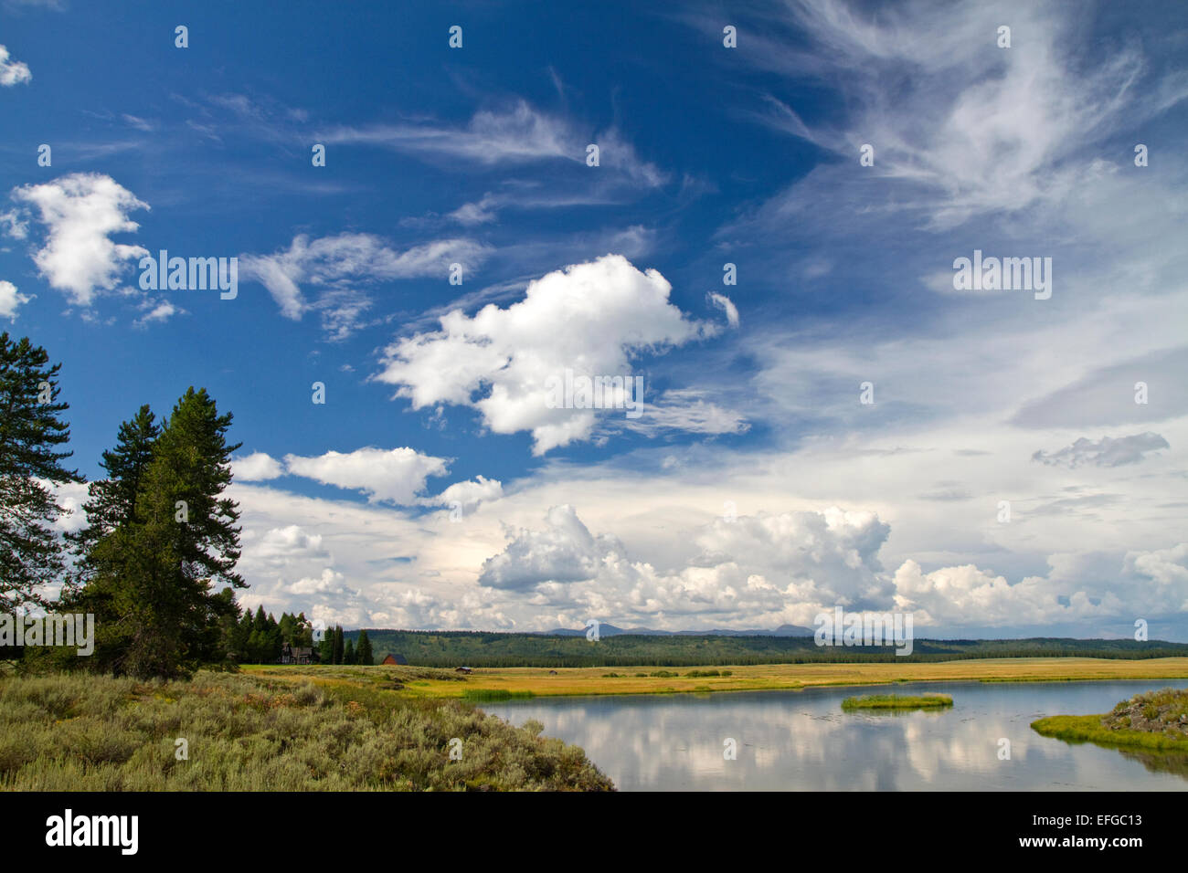 Harriman State Park befindet sich im größeren Yellowstone-Ökosystems im östlichen Idaho, USA. Stockfoto