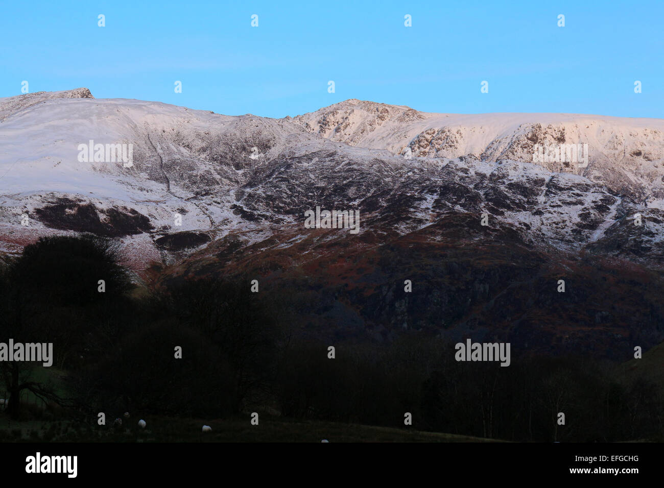 Ortszentrum, Wales, UK. 3. Februar 2015. Licht des frühen Morgens fängt den Schnee bedeckten Gipfel des Cadair Idris/Cader Idris im Herzen von Snowdonia-Nationalpark, Wales, Großbritannien. -02.03.2015 - John Gilbey/Alamy Live-Nachrichten Stockfoto