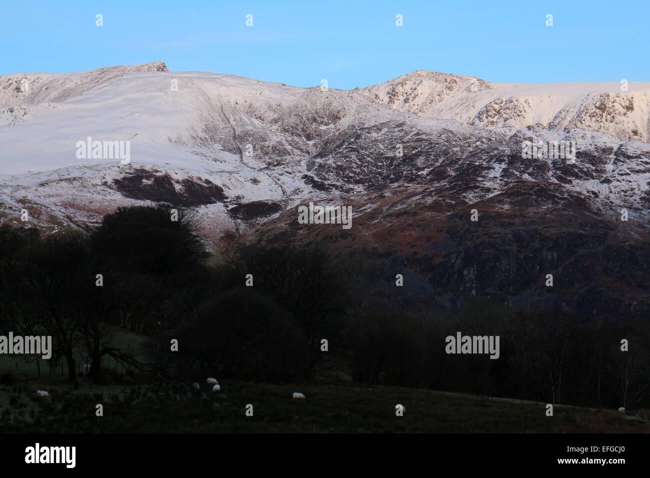 Ortszentrum, Wales, UK. 3. Februar 2015. Licht des frühen Morgens fängt den Schnee bedeckten Gipfel des Cadair Idris/Cader Idris im Herzen von Snowdonia-Nationalpark, Wales, Großbritannien. -02.03.2015 - John Gilbey/Alamy Live-Nachrichten Stockfoto