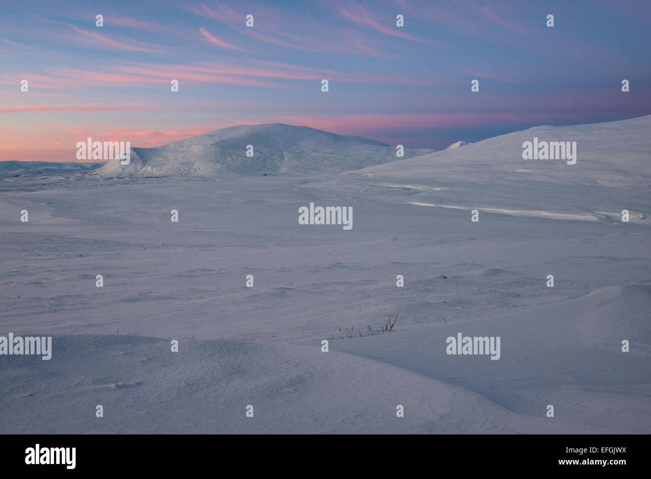 Fjell in Winter, bewölkt Morgenhimmel, Dovrefjell-Sunndalsfjella-Nationalpark, Norwegen Stockfoto