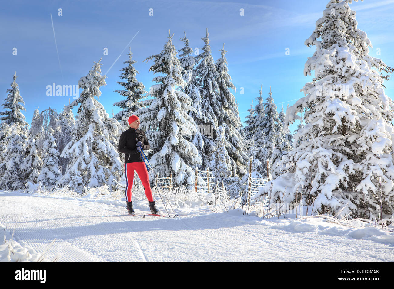 Ein Mann-Langlaufen auf den Waldweg Stockfoto