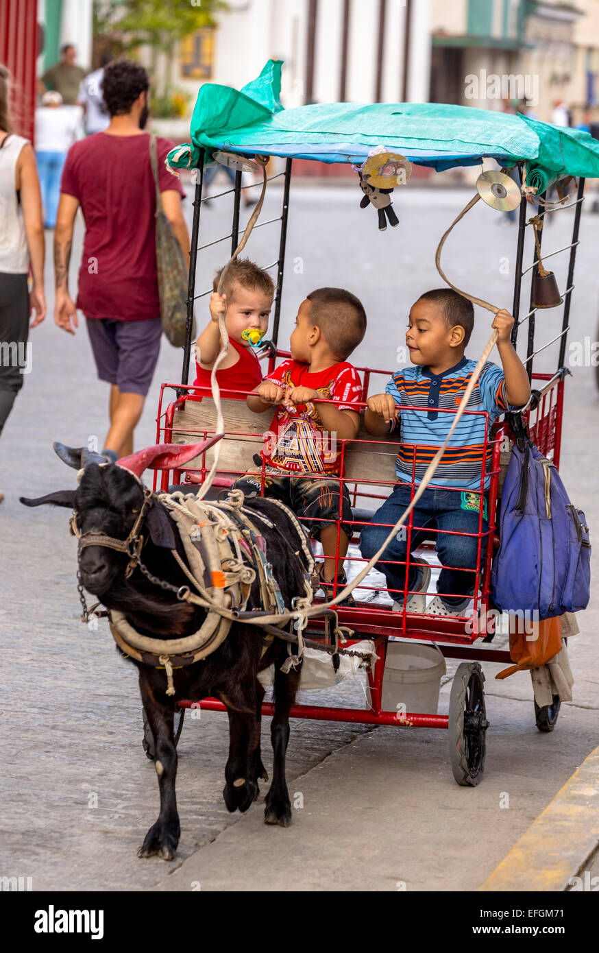 Kinder in der Kutsche, gezogen von einer Ziege im Parque de Santa Clara, Santa Clara, Kuba Stockfoto