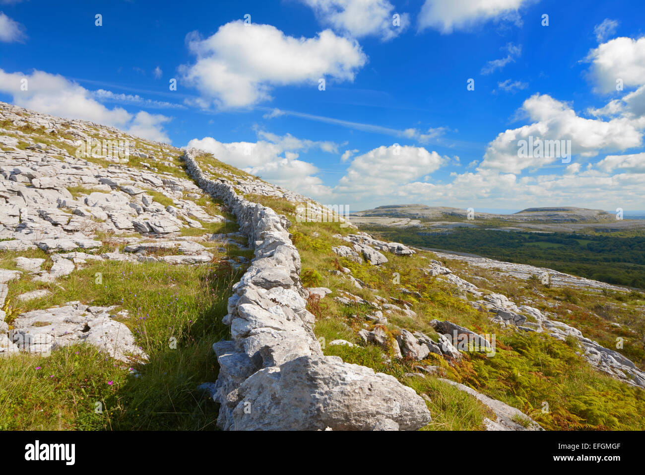Der Burren, County Clare, Irland Stockfoto