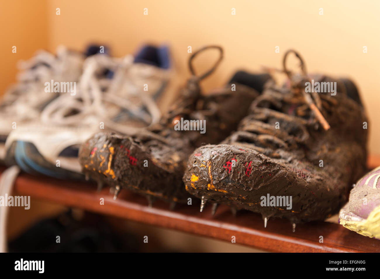 nassen schlammigen Laufschuhe im Schlamm vom Kreuz Land Training zeigt Schnürsenkel Details und atmungsaktive Material beschichtet Stockfoto