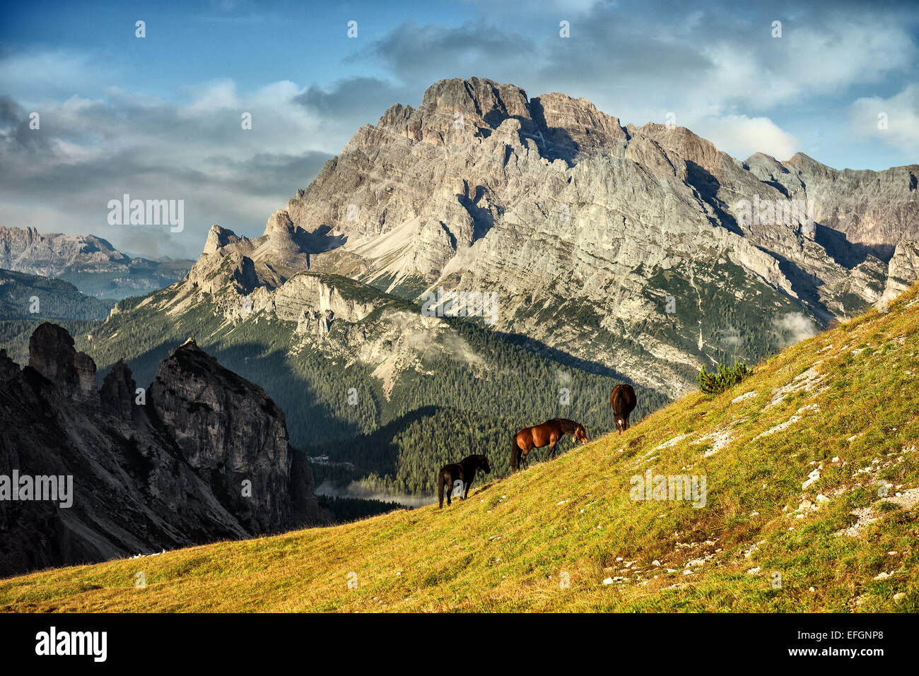 Italien, Dolomiten - wunderbare Landschaften, Pferde grasen in der Nähe von den kargen Felsen Stockfoto