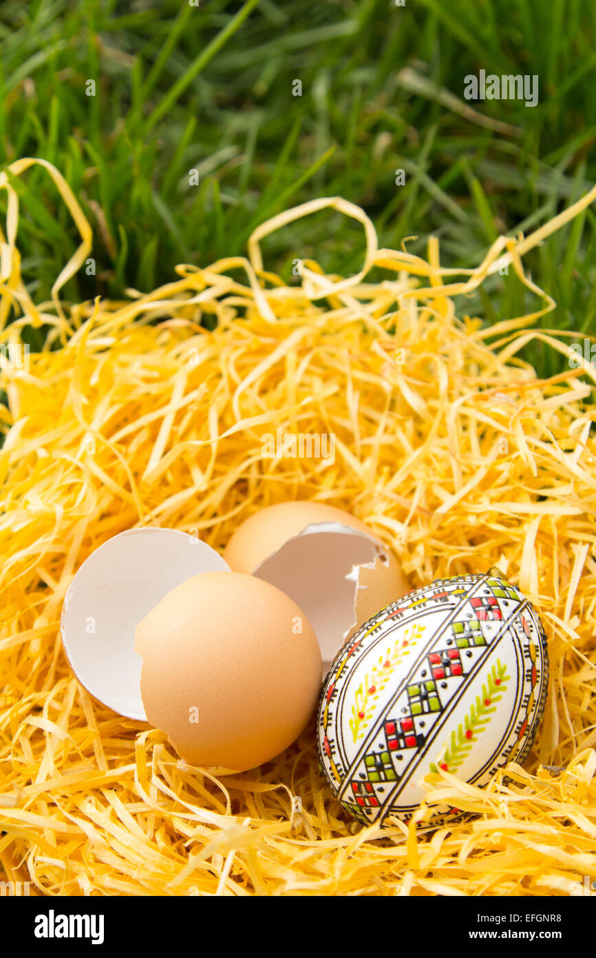 Ostereier im Nest auf dem grünen Rasen Stockfoto