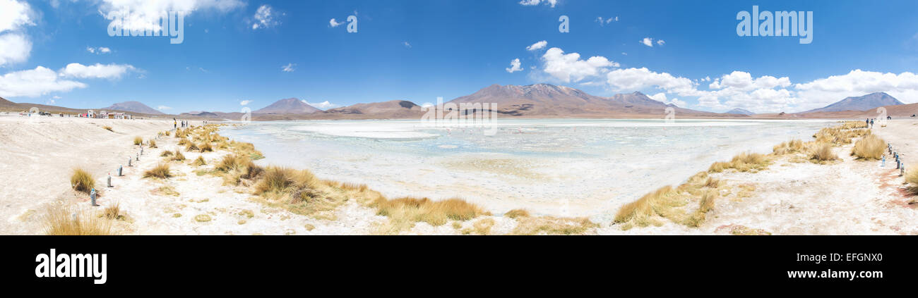 Am Laguna Hedionda Uyuni Wüste, Altiplano, Bolivien, Südamerika Stockfoto