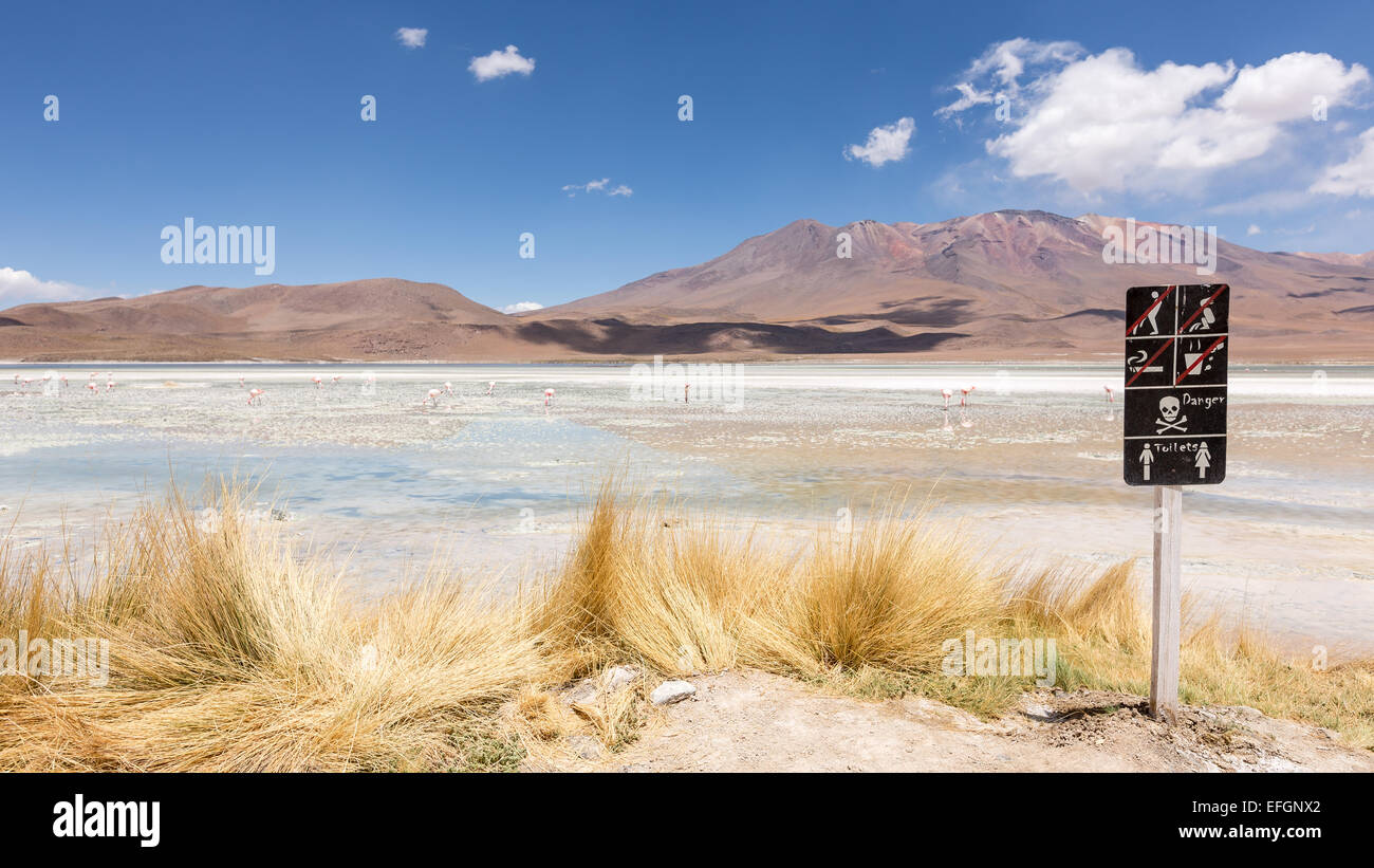 Am Laguna Hedionda Uyuni Wüste, Altiplano, Bolivien, Südamerika Stockfoto
