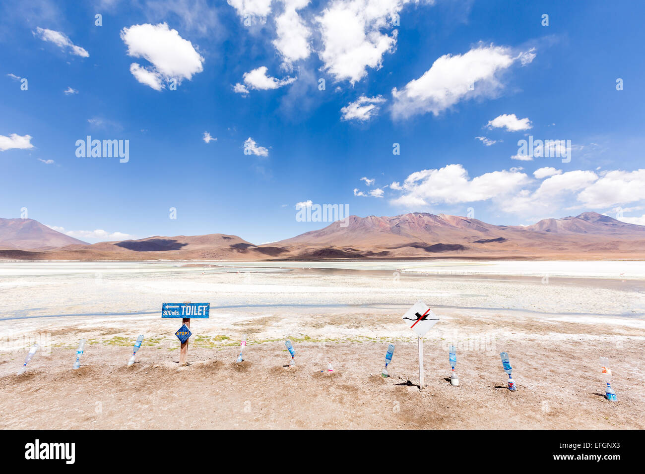 Am Laguna Hedionda Uyuni Wüste, Altiplano, Bolivien, Südamerika Stockfoto