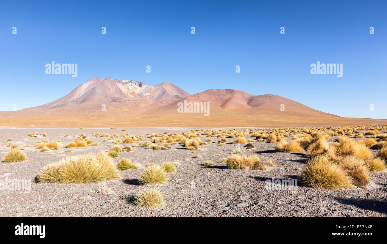 Vulkan im Morgenlicht, Laguna Chulluncani, Uyuni Wüste, Altiplano, Bolivien, Südamerika Stockfoto