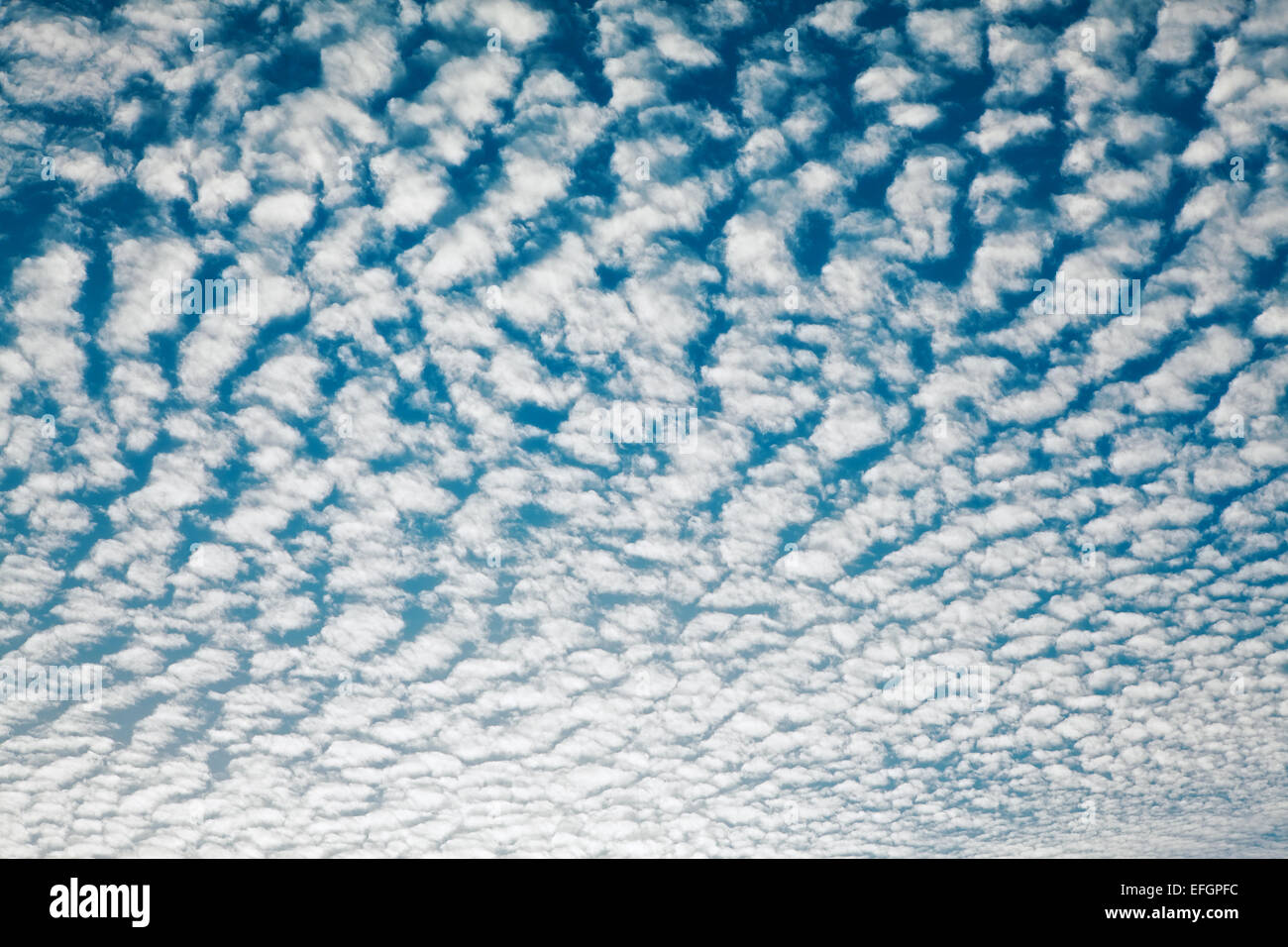 Wolkengebilde mit Altocumulus-Wolken am sonnigen Tag Stockfoto