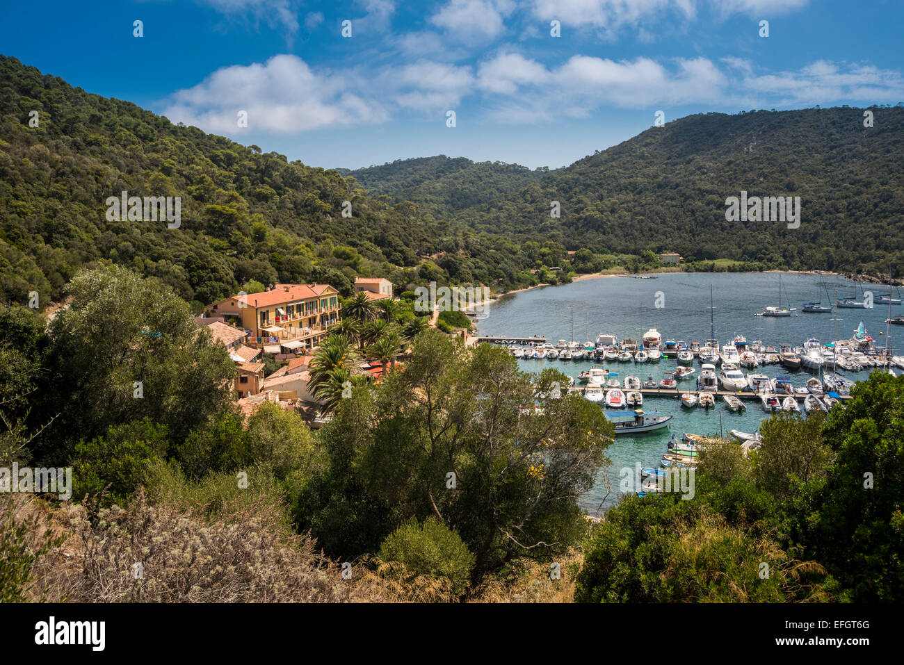 Blick auf den Hafen auf der Insel Port Cros, Var, PACA, Provence-Alpes-Cote d ' Azur, Frankreich Stockfoto