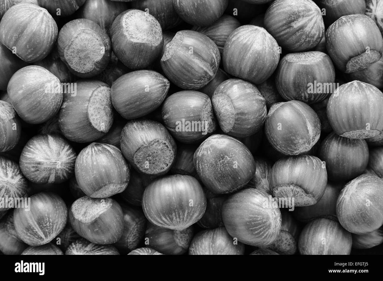 Verarbeitung von Haselnüssen als eine abstrakte Hintergrundtextur - Monochrom Stockfoto