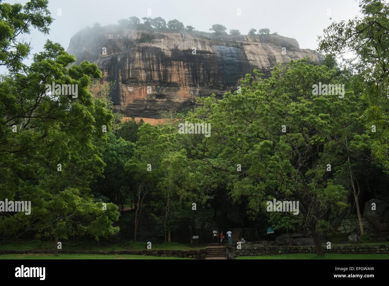 Lion Rock an einem nebligen Morgen in feuchte Regenzeit, Sigiriya, Sri Lanka, Rock, Unesco, Höhle, Kunst, Fresko, Löwe, Rock, riesige Stockfoto